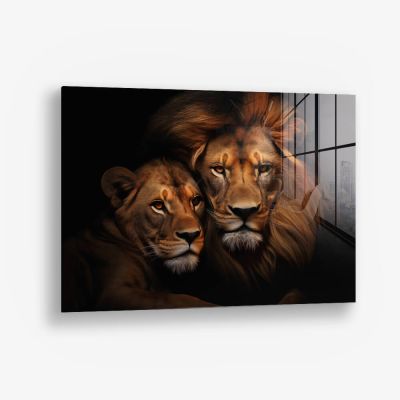 Lion Couple HZ – Vidrio